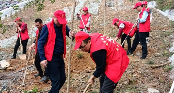 村企共建，共植先锋林