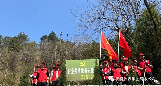 党建强引领，共植先锋林